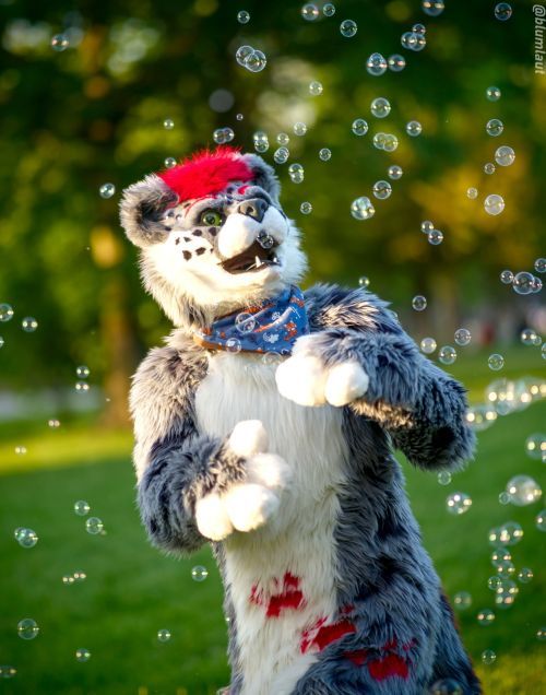 Fursuit Photograph