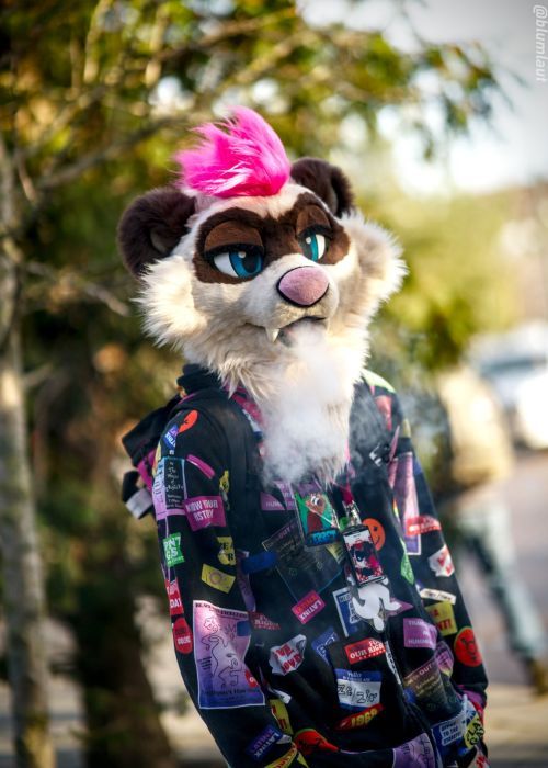 Fursuit Photograph