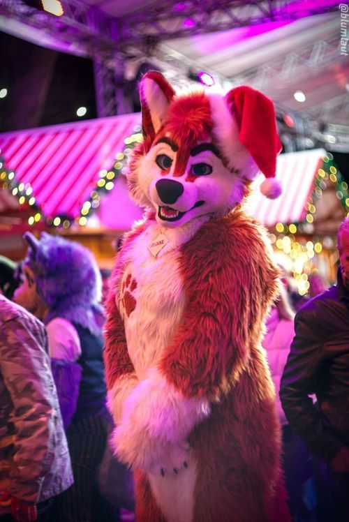 Fursuit Photograph