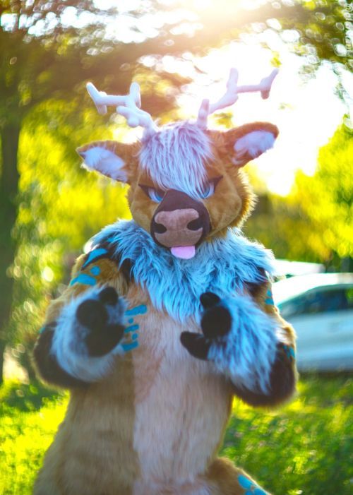 Fursuit Photograph