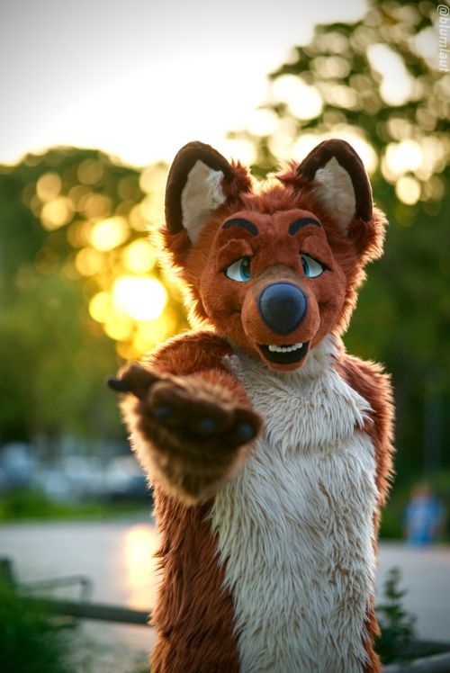 Fursuit Photograph