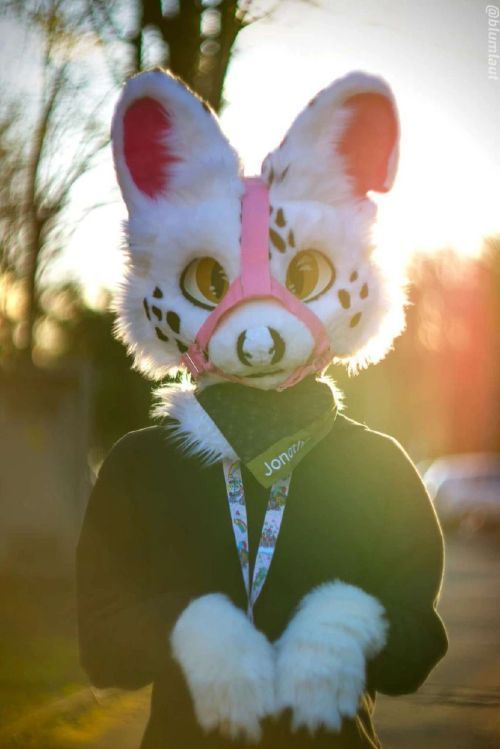 Fursuit Photograph
