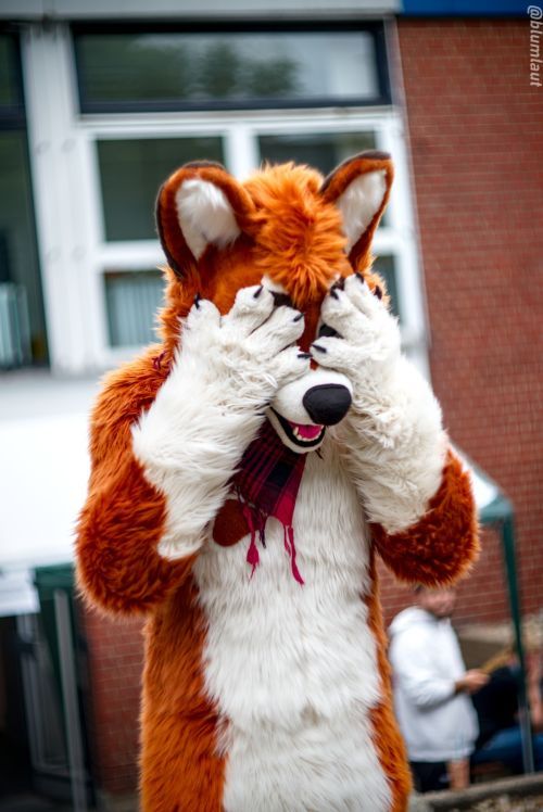 Fursuit Photograph