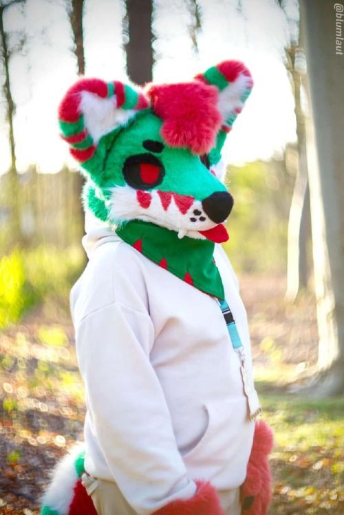 Fursuit Photograph