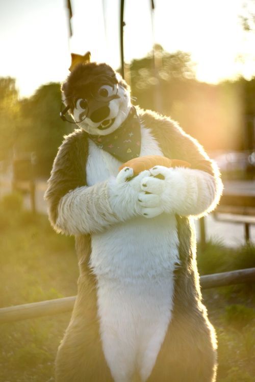 Fursuit Photograph