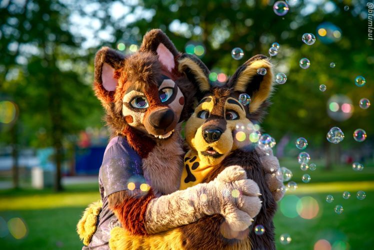 Fursuit Photograph