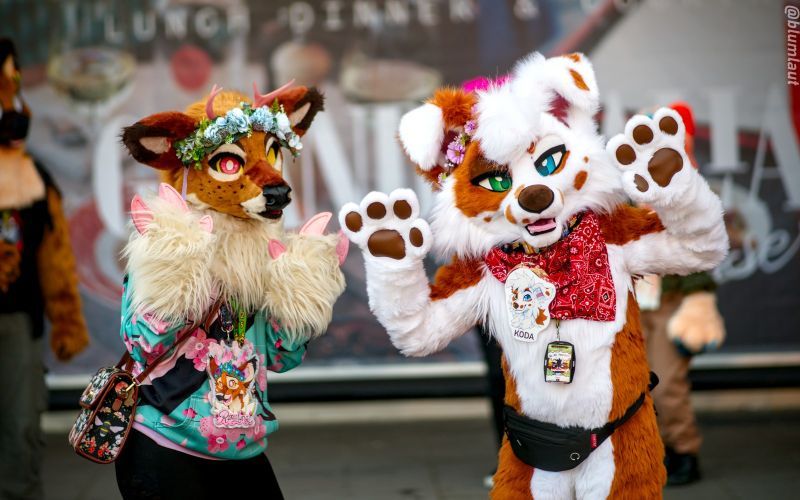 Fursuit Photograph
