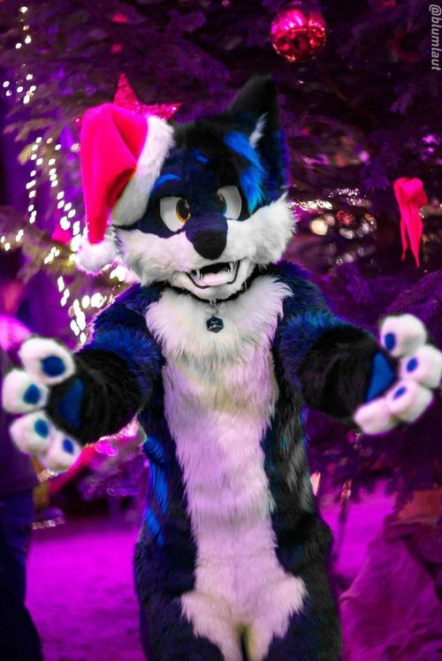Fursuit Photograph