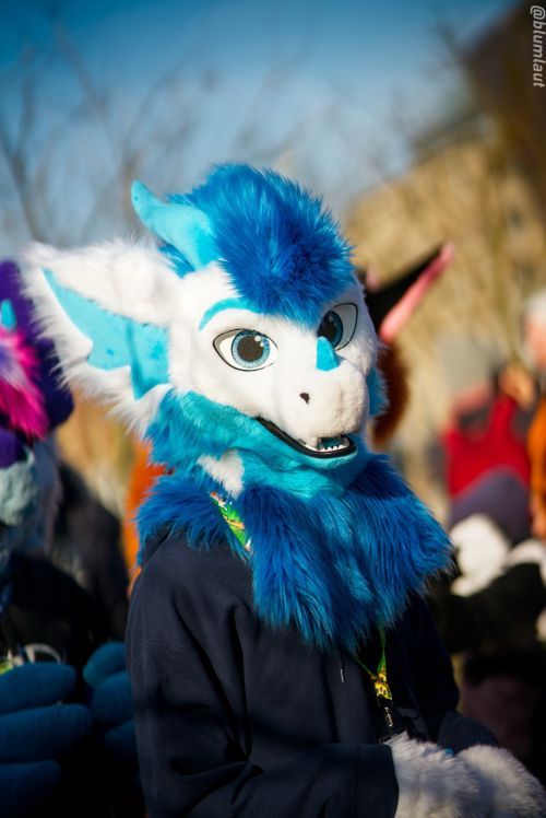Fursuit Photograph