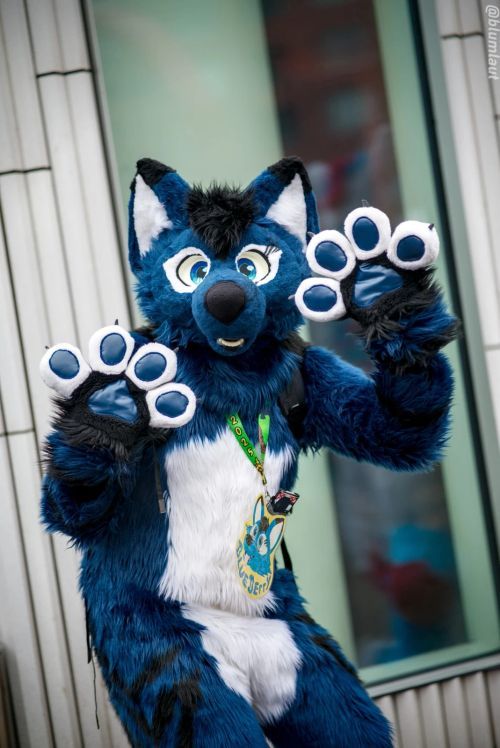 Fursuit Photograph