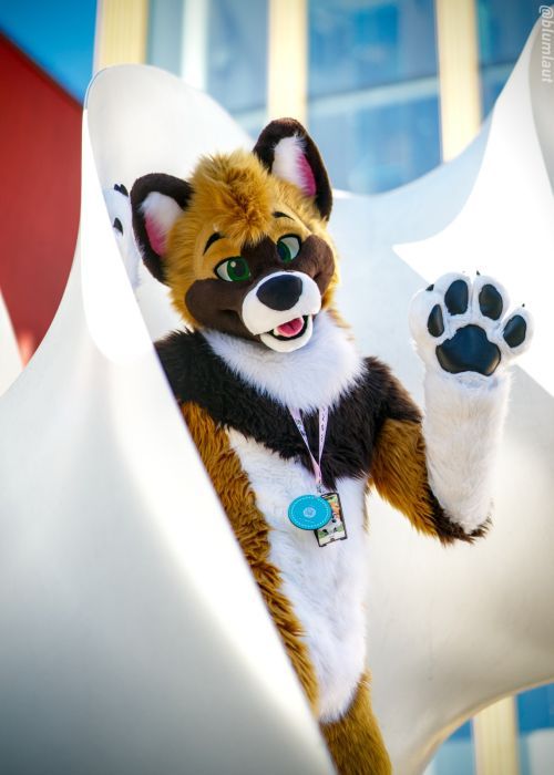 Fursuit Photograph