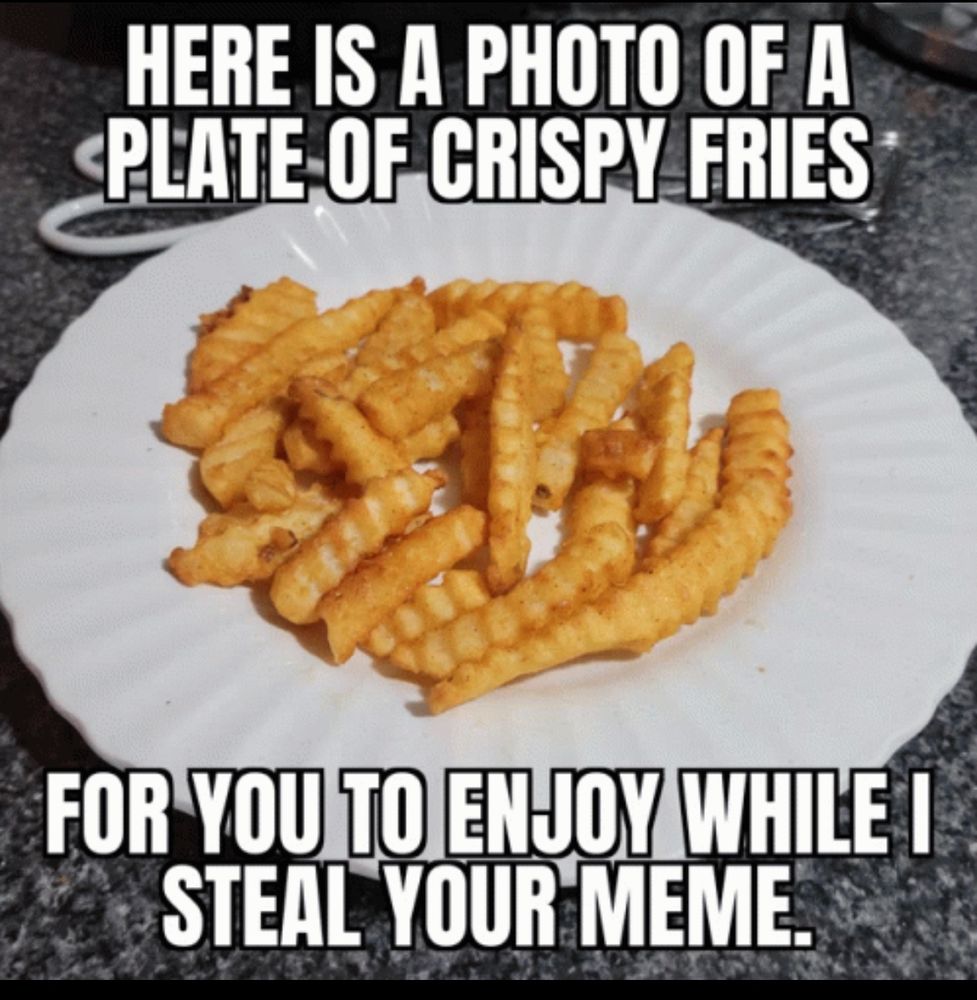 A white plate with Crinkle Cut fries and the words: HERE IS A PHOTO OF A PLATE OF CRISPY FRIES
FOR YOU TO ENJOY WHILE I STEAL YOUR MEME.