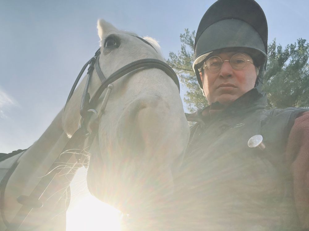 Grey horse and rider in low sun