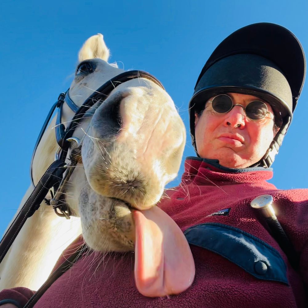 Horse with his tongue out