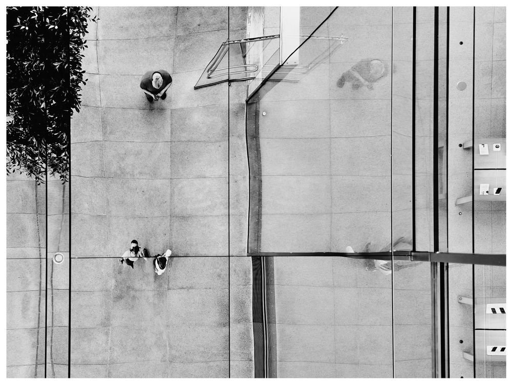 Black and white aerial photograph taken from a reflective ceiling showing two people walking on geometric paved ground with a tree and architectural elements visible from above