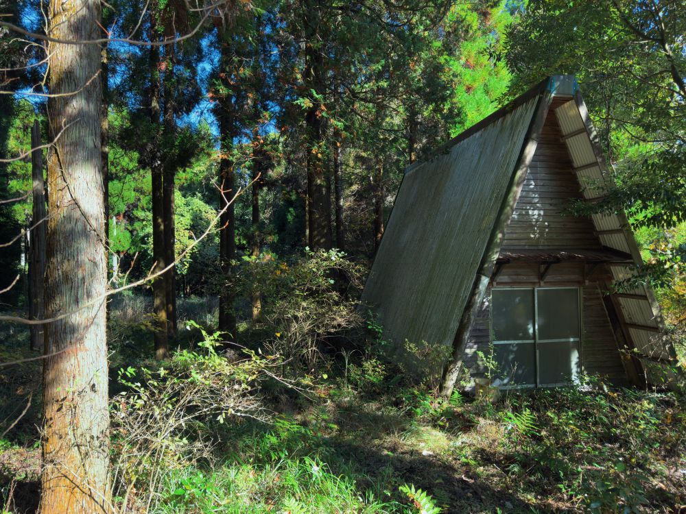 An abandoned A-frame cabin half way up the forestry road 