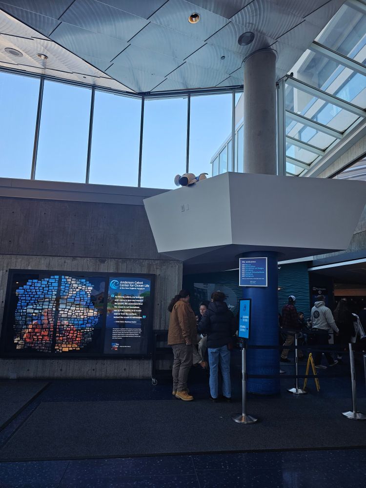 An image inside the Boston aquarium with a Gulliver stuffed animal hiding in the architecture. 