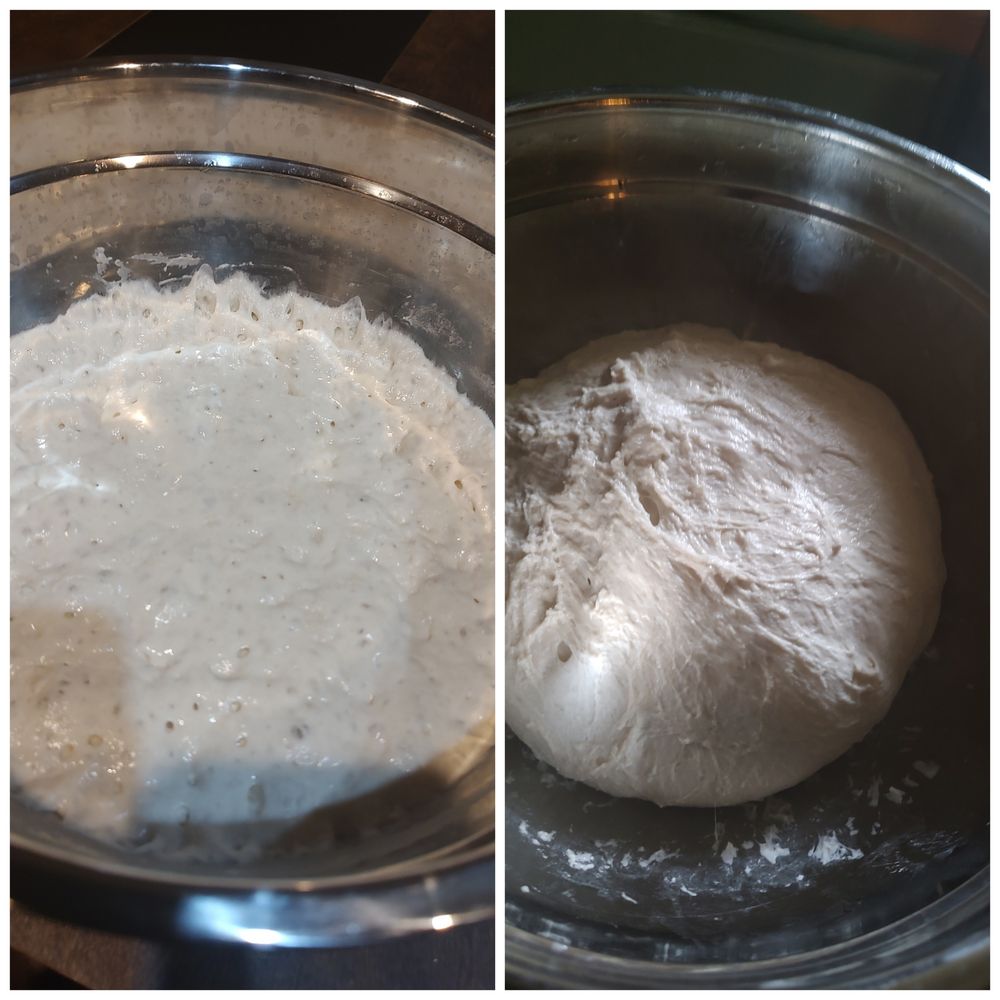 preferment vs fully incorporated dough (it's a lot of dough, like 1.2kg of dough)