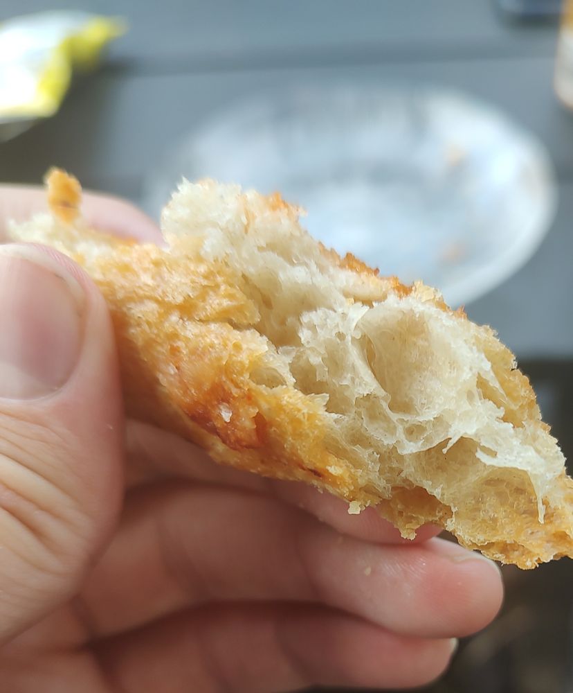 a piece of crust where you can see more of how open the crumb is, plus the little bubbles on the outside of the crust