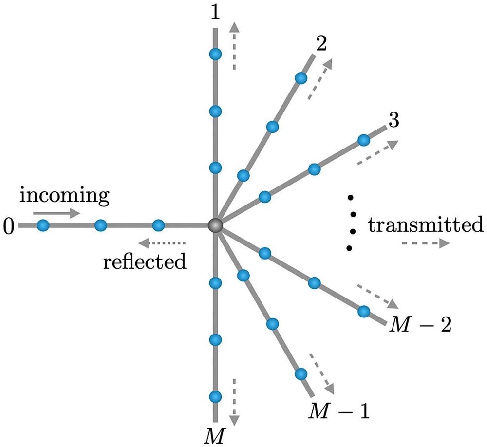 Fig. 2 from cjp-2024-0240. Scattering off a junction. A wave travels along the ‘‘incoming’’ wire. It encounters a junction with M outgoing wires and scatters. The incoming wire is labelled as ‘‘0’’. A part is reflected along the same wire, while the rest is transmitted through the remaining M wires.