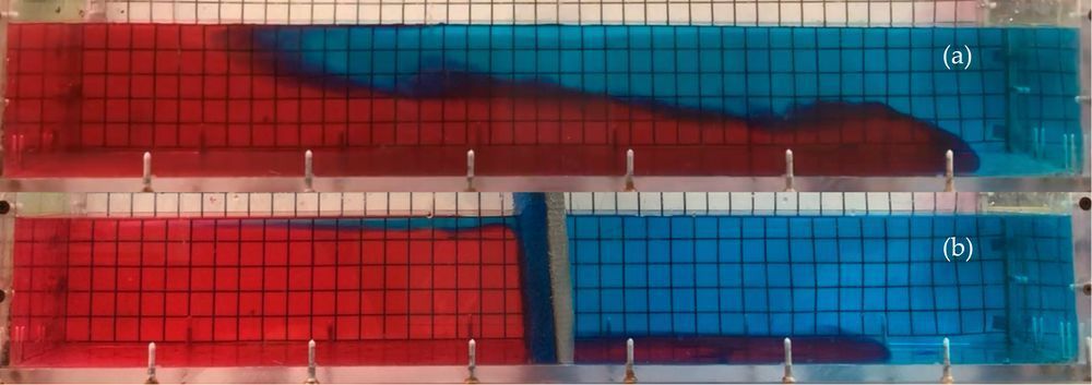 Two tanks containing red and blue fluid, In top image, the red fluid fills the left and extends across the bottom of the tank, with the blue fluid on the right and flowing leftward on the top. In the bottom tank, a vertical barrier is in place halfway along the length of the tank. Left of the barrier is red fluid, right is blue. A small volume of blue fluid has passed through the barrier to float on the red fluid. Some red has sone the same to the right of the barrier, extending into the bottom of the blue bulk. Fig 2 from cjp-2024-0084
