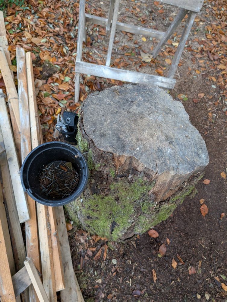 Ein Hackstock, ein Bock, ein Plastikkübel für die Nägel und eine Zange.