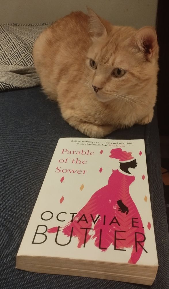a ginger cat with a copy of Octavia E. Butler's "Parable of the Sower"