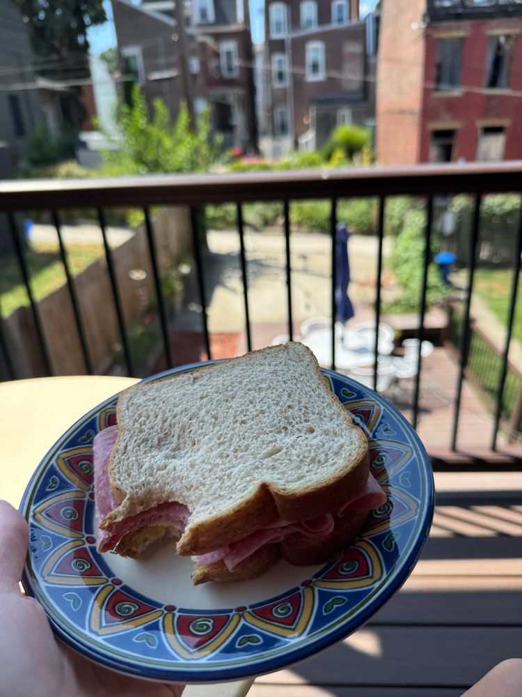 a salami and pepper jack cheese sandwich on honey wheat bread rests on a blue-bordered plate with a yellow and red scalloped design. I hold the plate in my hand on my balcony. you can see the balcony railing and my blurry backyard in the background of the photo. it’s a sunny day, but me and the sandwich are in the shade. the sandwich has one bite taken out because I always verify if my lunch truly is a #goodlunch before posting it to the #goodlunch thread
