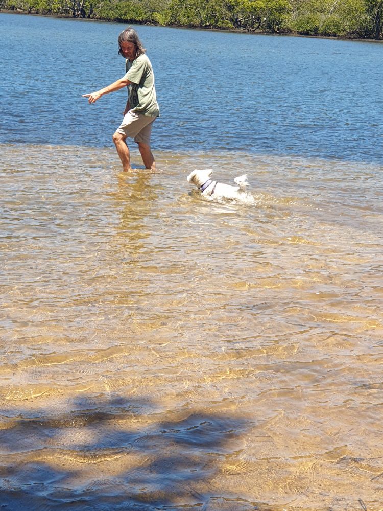 Taking our little dog for a swim in the river