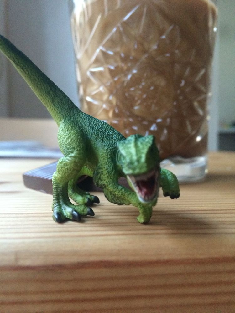 Rexy försvarar en kopp kaffe och choklad. 