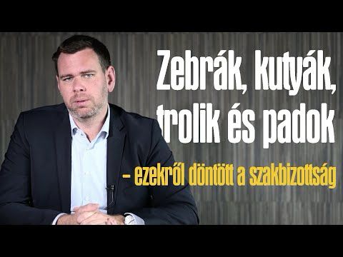 Zebrák, kutyák, trolik és padok - ezekről döntött a szakbizottság