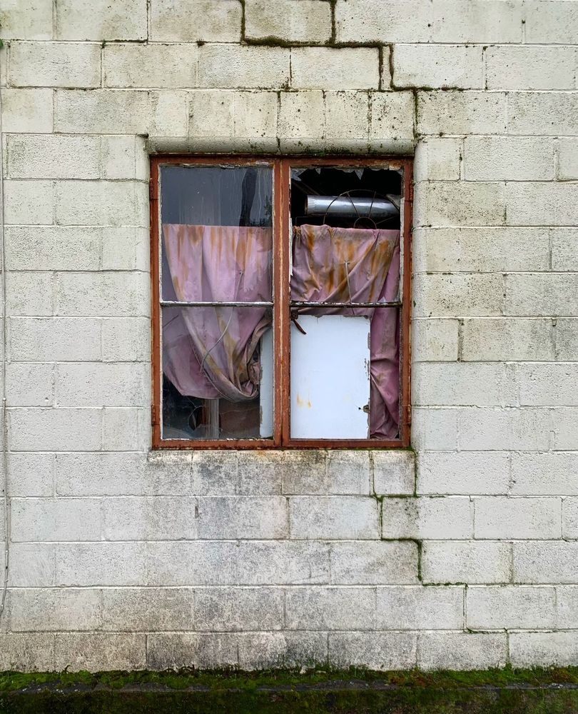 Four pane window in brick building in downtown Toledo, Washington. Right side panes broken and partially covered from inside with a white board. Frayed and stained purple curtain with silver cylinder visible in upper right pane.