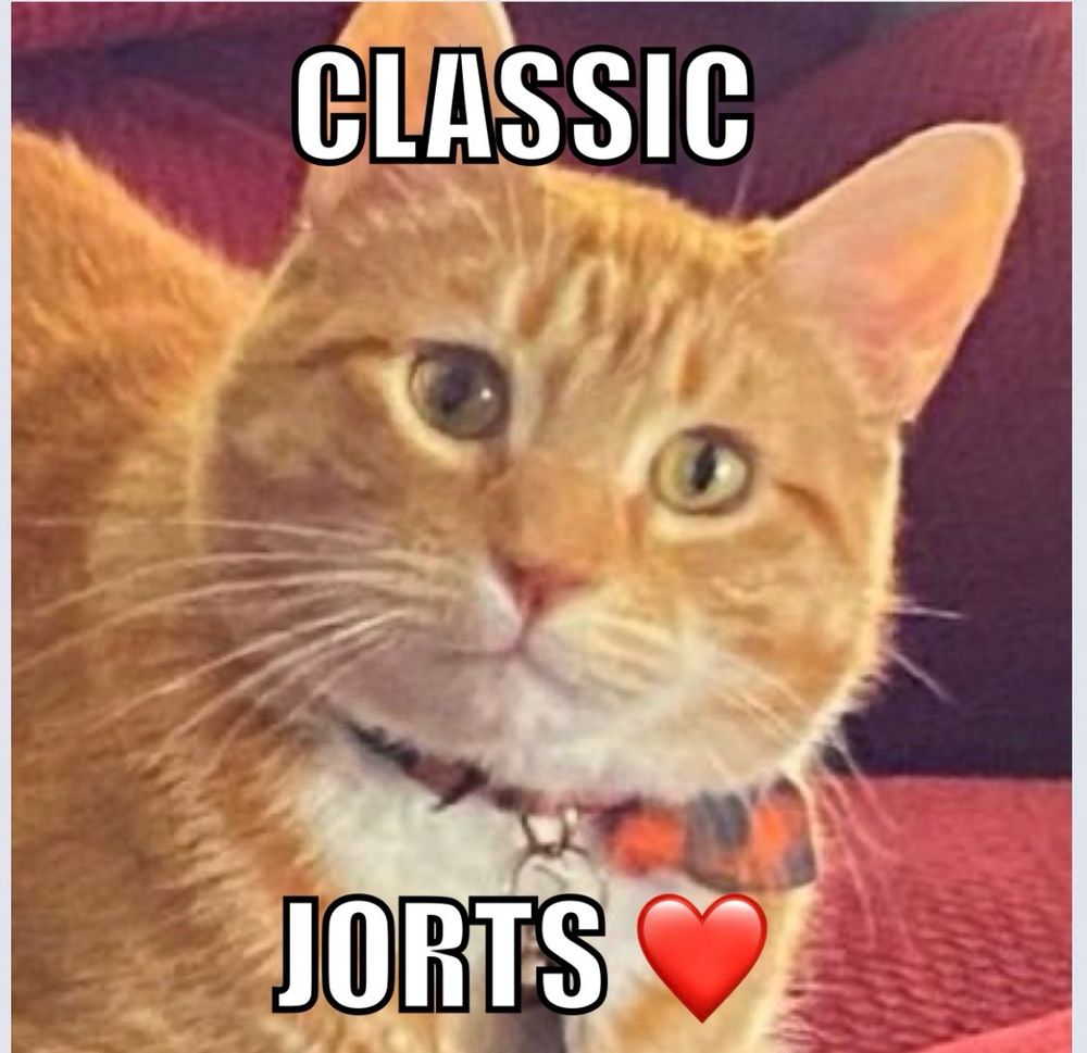 An orange cat is looking at the camera, his head tilted slightly to the right. His expression is adorably blank. The caption reads, “Classic Jorts.”