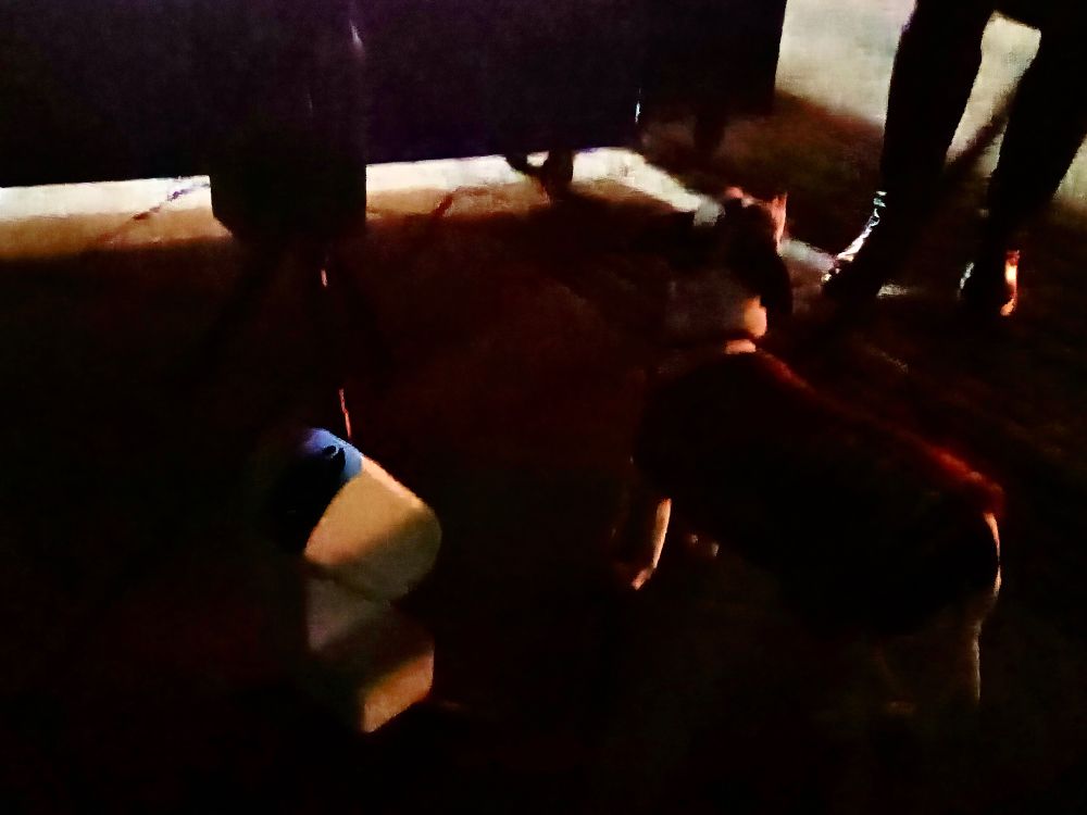 A little robotic telescope in the dark next to a cute dog.