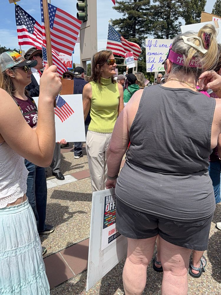 Protesters at No Kings rally 
