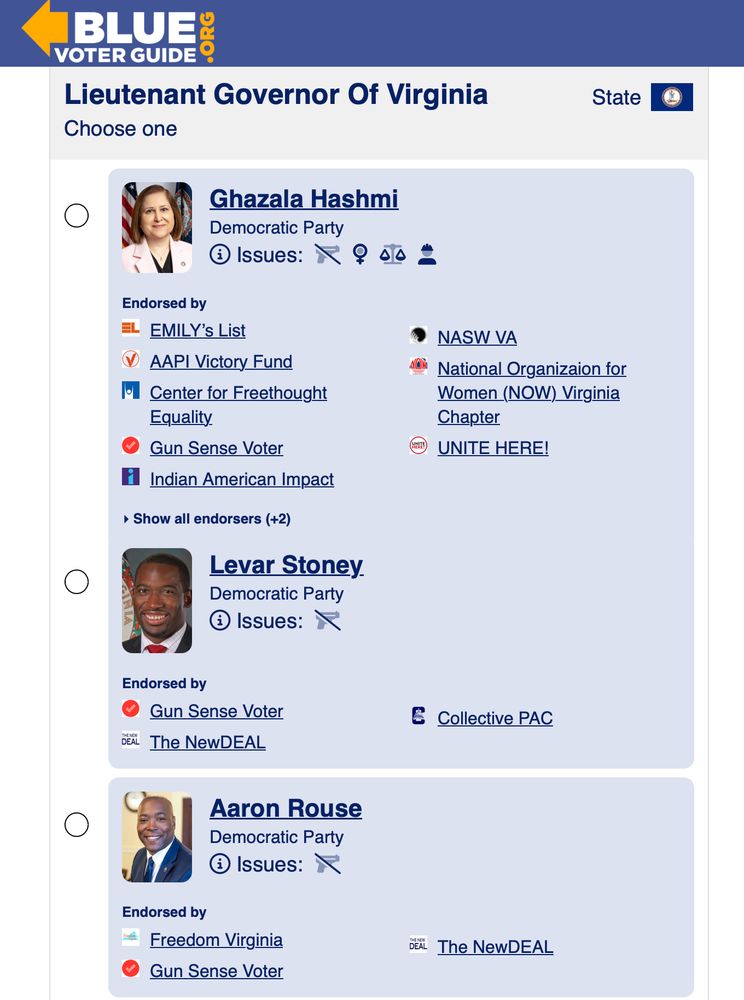 Screen capture from Blue Voter Guide of endorsements lists for the six candidates for the Virginia June 17, 2025 Lieutenant Governor primary election.