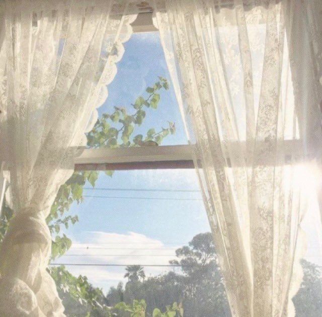 Janela de cortinas brancas com uma paisagem de céu azul e árvores ao fundo.