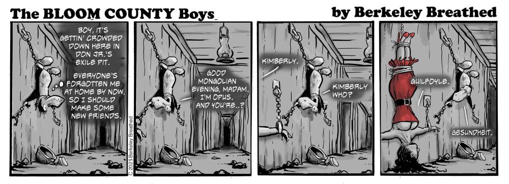 Opus in the latest Bloom County strip is in a Mongolian gulag. He’s exiled to Don Jr’s pit because he told the truth on Fox News that the bitcoin is backed by poop. Opus decides to make new friends with fellow prisoner next to him…who happens to be Kimberly Guilfoyle. 