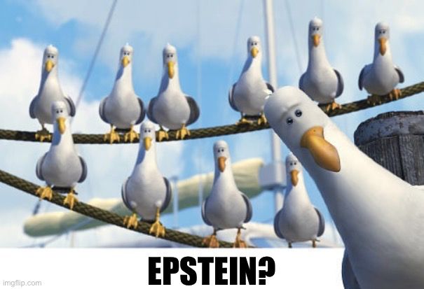 Epstein seagulls
