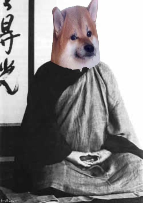 Zen Fella 
