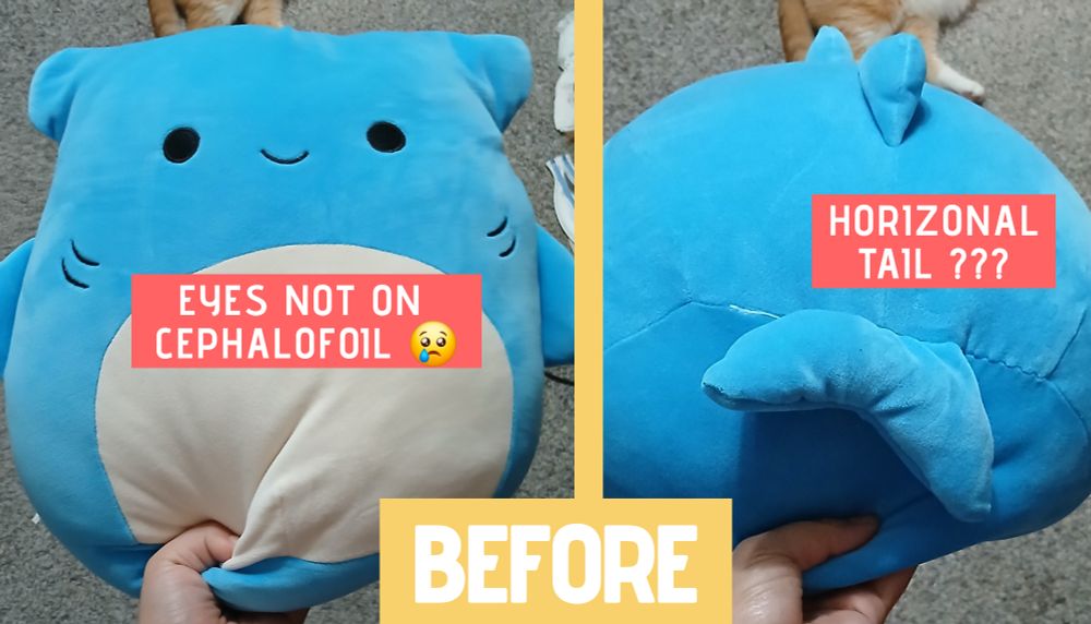 Photos of a large rounded pillow of a hammerhead shark before being fixed. The original design of the pillow is baffling. The eyes are placed in the center of the body instead of on the ends of the cephalofoil. The tail on the back is also horizontal like a whale's.