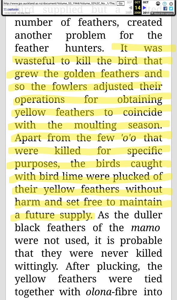 A screenshot of highlighted text from an archived JPS article which reads: "It was wasteful to kill the bird that grew the golden feathers and so the fowlers adjusted their operations for obtaining yellow feathers to coincide with the moulting season. Apart from the few 'o'o that were killed for specific purposes, the birds caught with bird lime were plucked of their yellow feathers without harm and set free to maintain a future supply."