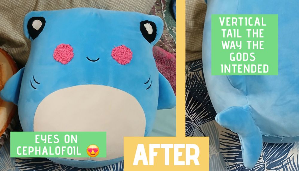 Photos of the hammerhead shark pillow after being fixed. There are now two wide eyes on the ends of the cephalofoil and fuzzy pink blushes where the old eyes were. The tail is also sewn vertically now 