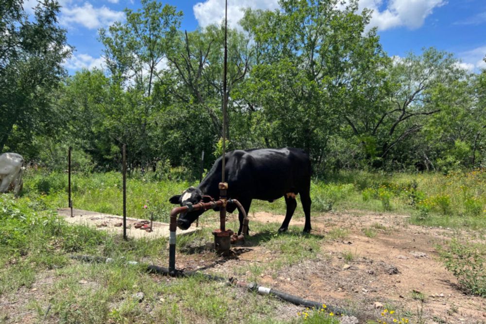 Study Finds High Levels of Hydrogen Sulfide in Central Texas Oilfield - Inside Climate News