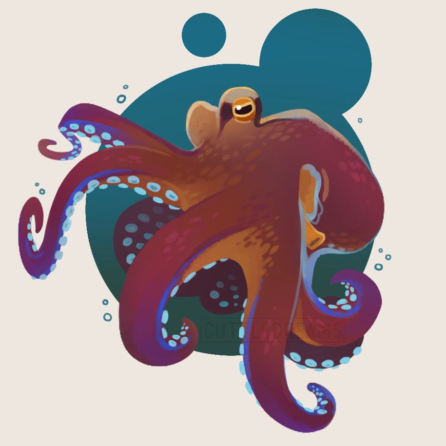A drawing of a coconut octopus. It’s body ranges from reddish to purple to orange on the fringes, with dark markings on the sides of its orange eyes. The tentacles feature purples and blues as well, with the suckers in particular being a bright blue that appear to glow. Four of the tentacles curve outward from the body, and the remaining four are curled more closely under the body.

Behind the octopus are three dark teal circles, two of which are overlapped. They echo the small teal bubbles that are around the octopus' body to indicate being under water.