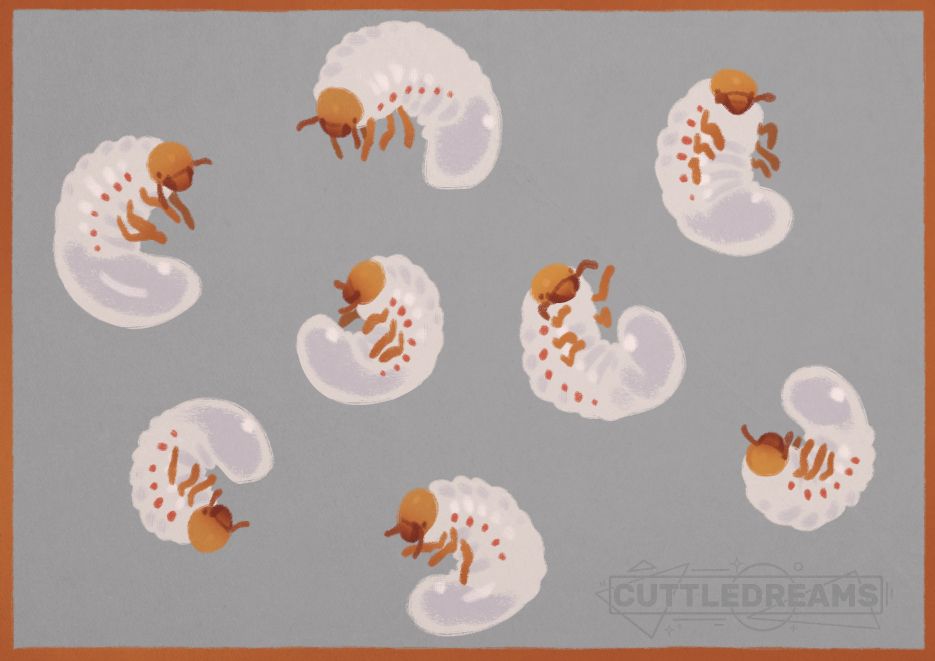 A drawing of a bunch of cartoony little grubs spread around the page like beans. 