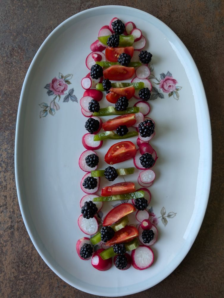 Eine ovale Porzellanplattr dekoriert mit Radieschen, grüner Paprika, Tomaten und Brombeeren. In der Mitte der Platte sind abwechselnd Tomatenviertel und Paprikastreifen platziert. Drumherum bilden die Radieschenscheiben einen Rahmen. Überall sind noch Brombeeren drauf dekoriert.