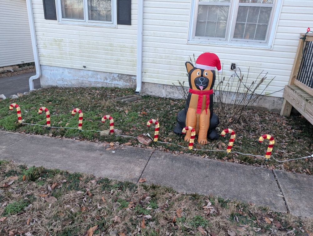 Row of candy cane lights with a shepherd guard dog. 