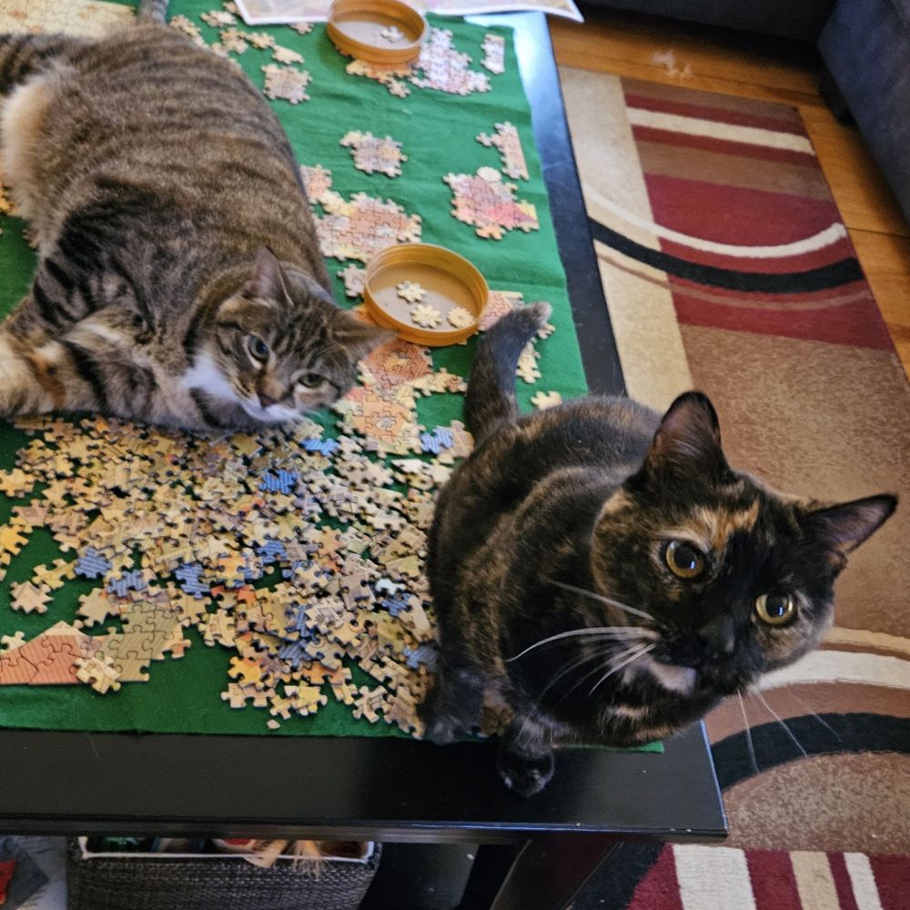 Two cats looking up at camera. A mackerel tabby lays on her side in the middle of the partially completed puzzle. A tortie sits on a pile of pieces.