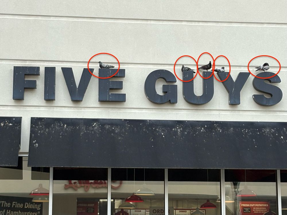 Photo of Five Guys burgers sign
